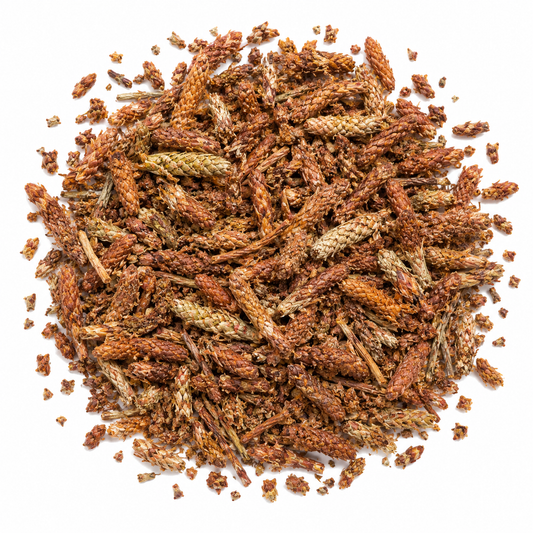 Pine Buds Tea
