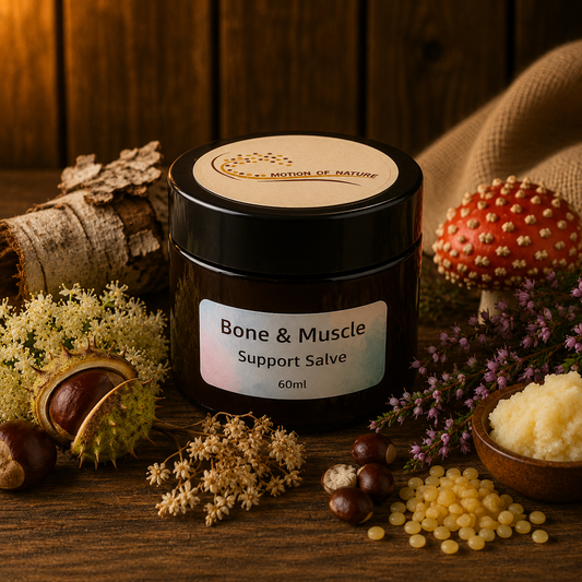 Jar of 'Bone & Muscle Support Salve' surrounded by natural elements on a wooden surface
