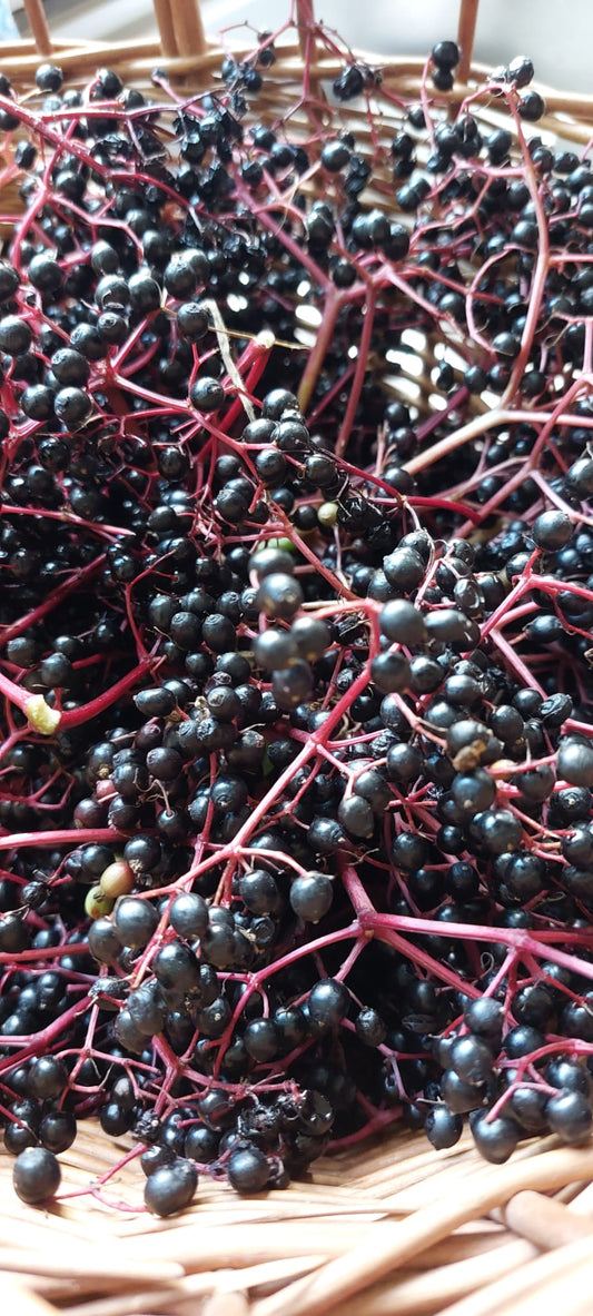 Elderberry Syrup With Cinnamon