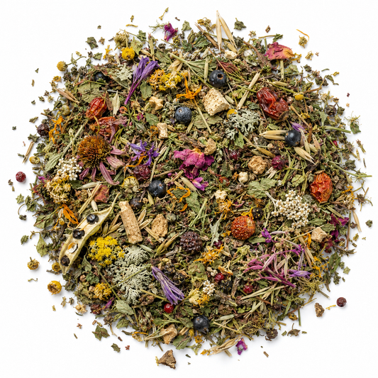Altai Immune Support Herbal Tea