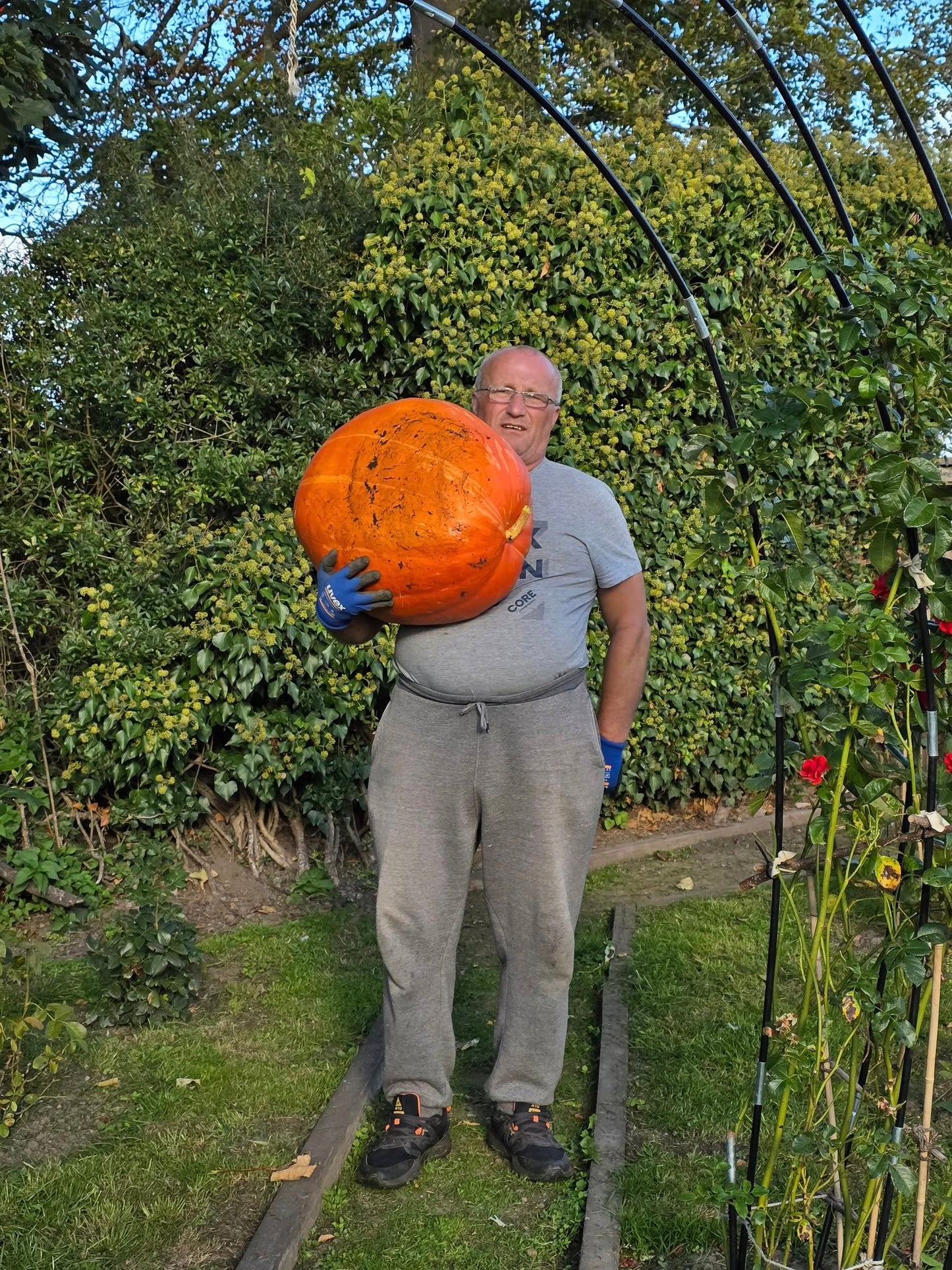 Man holding a large pumpkin in a garden setting