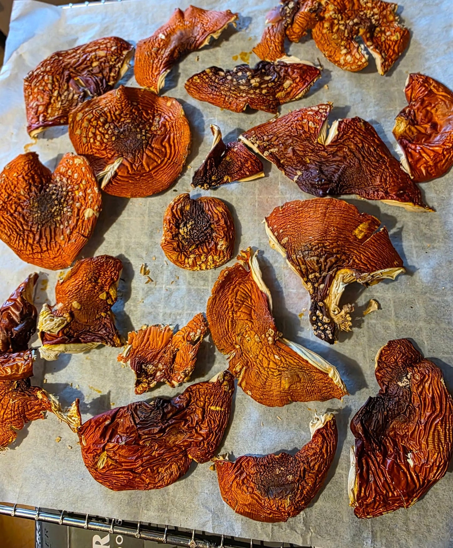 Dried mushrooms on a baking sheet