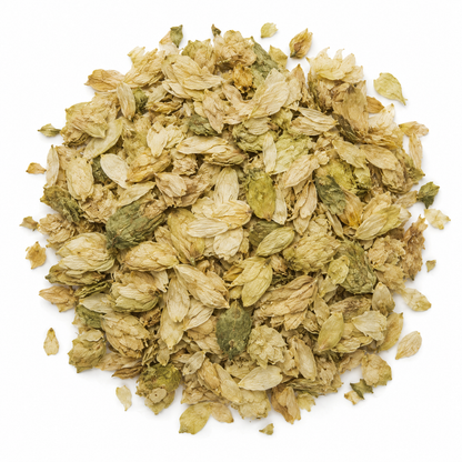Hops Cones Tea