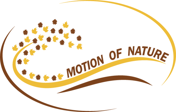 Motion of Nature