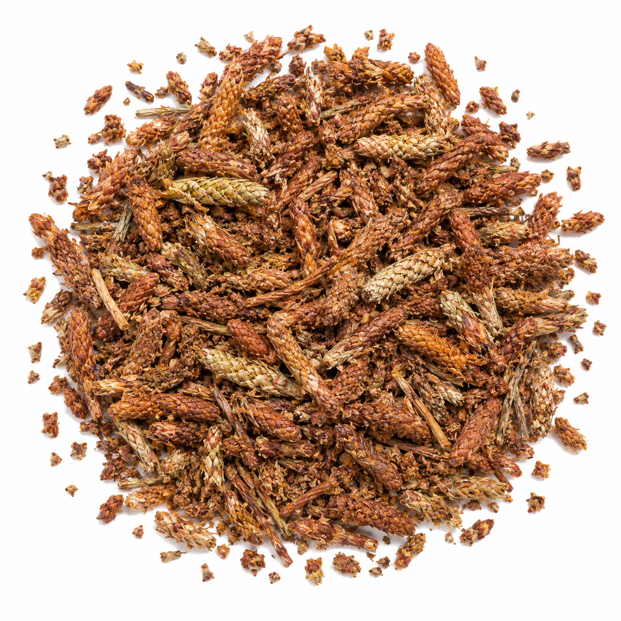 Pine Buds Tea