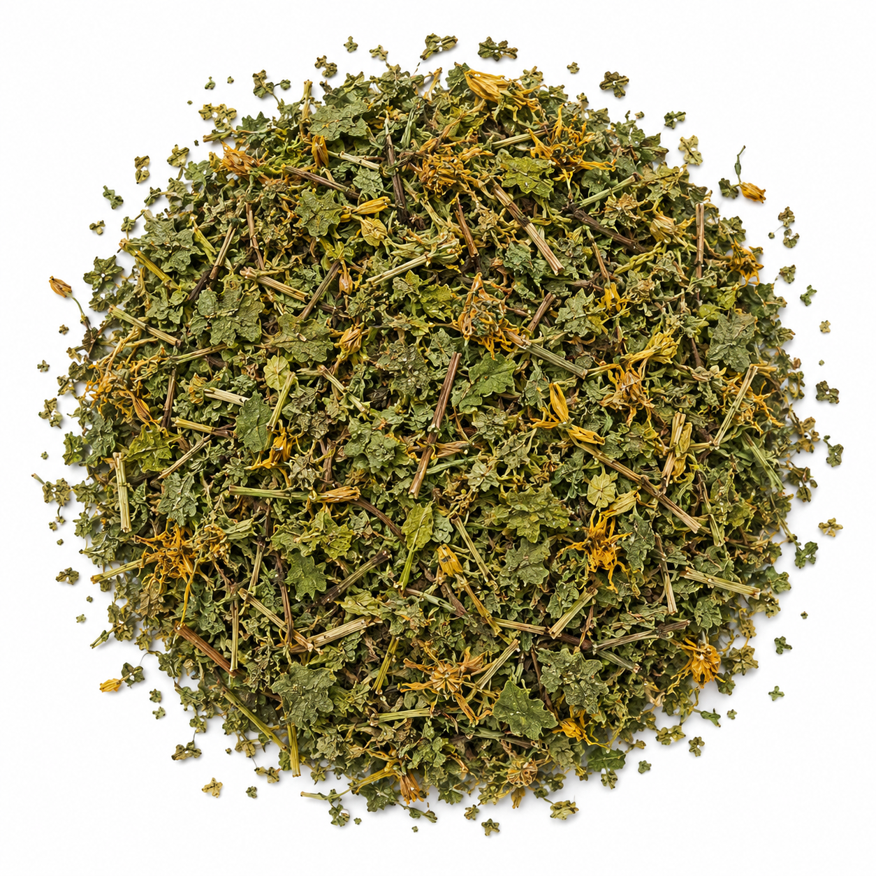 St John's Wort Tea