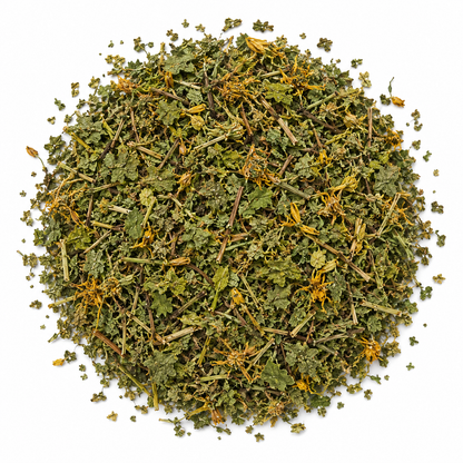 St John's Wort Tea