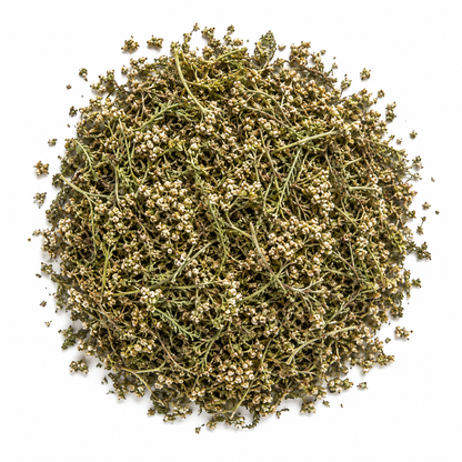 Yarrow Tea