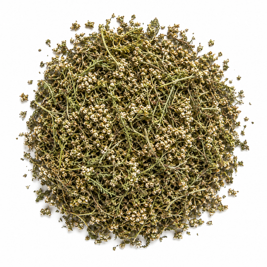 Yarrow Tea