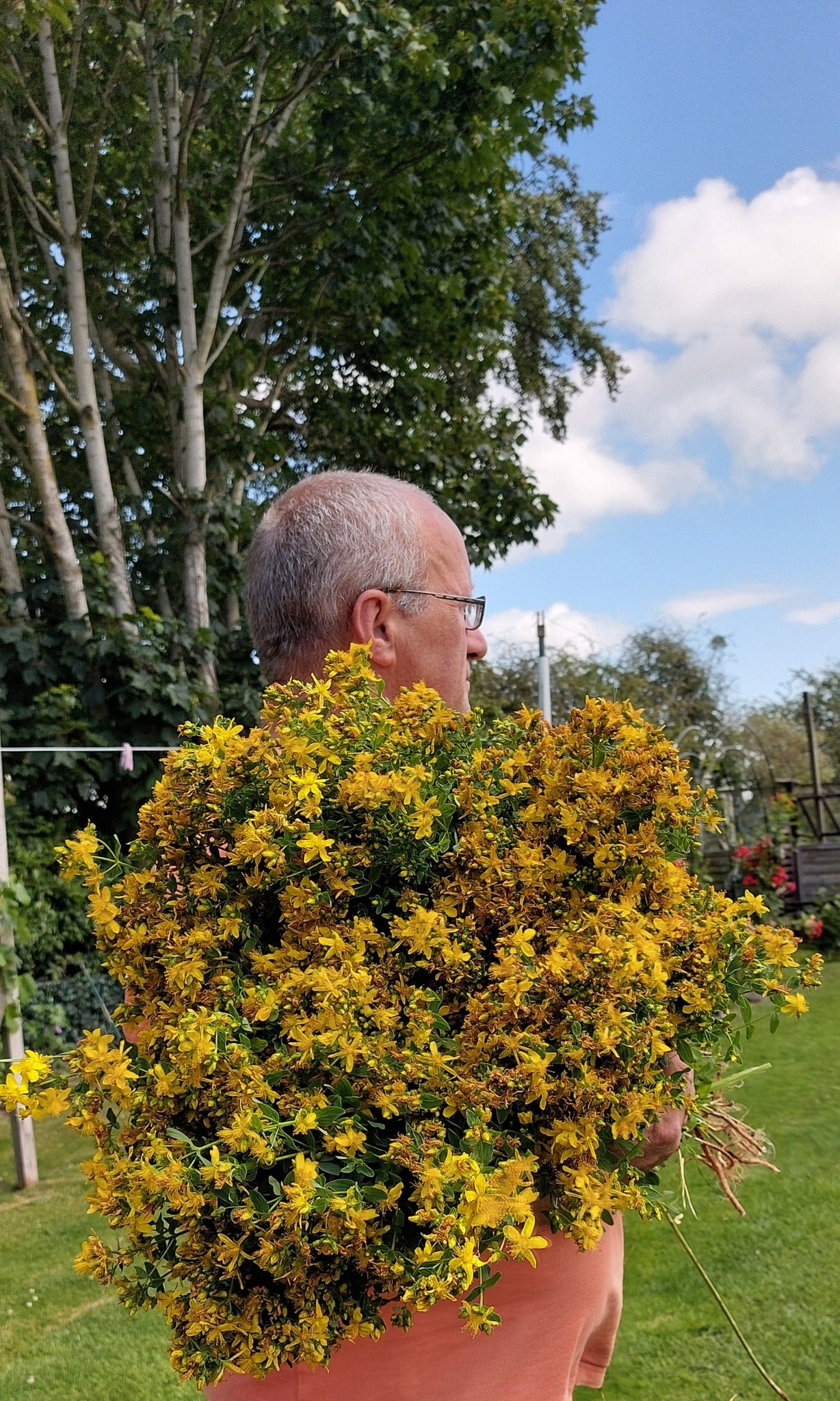 Person holding a large bundle of yellow flowers outdoors with trees and blue sky in the background