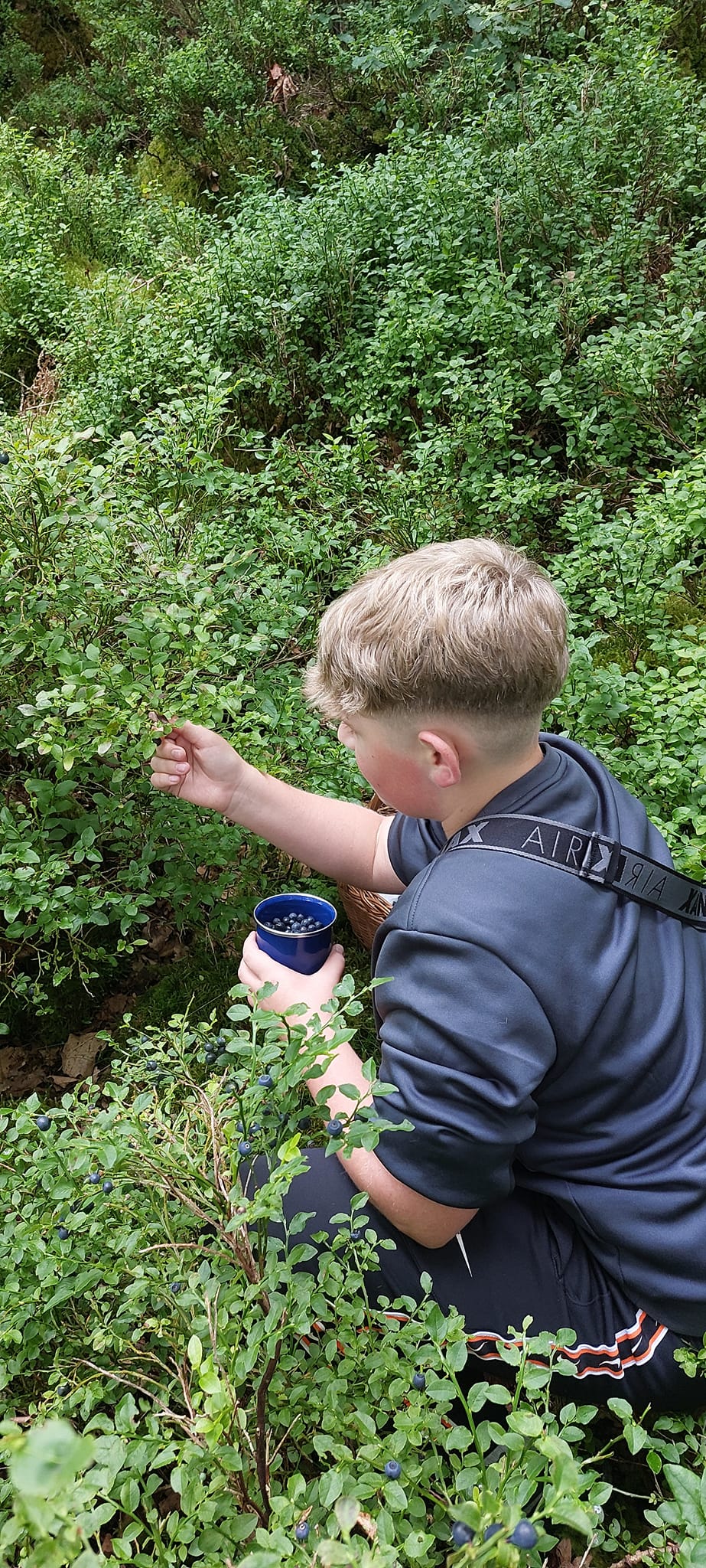 Person in a blue shirt interacting with green plants outdoors