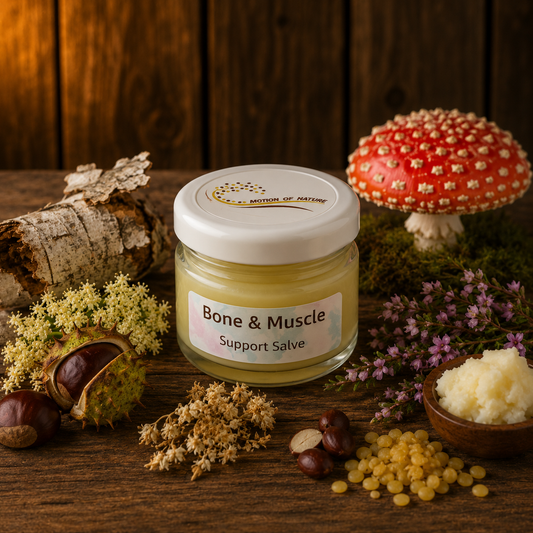Jar of 'Bone & Muscle Support Salve' on a wooden surface with natural elements.