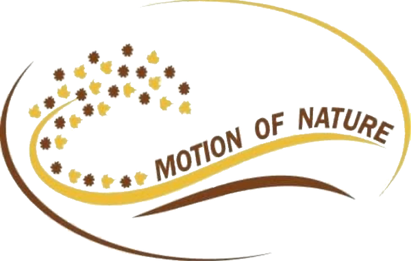 Motion of Nature