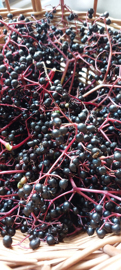 Elderberry Syrup With Cinnamon