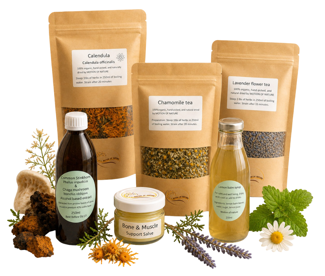 Collection of natural health products including tea bags, syrup,salve with herbs