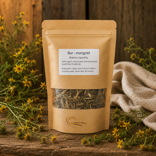 Bur - Marigold (Bidens Tripartita) Tea