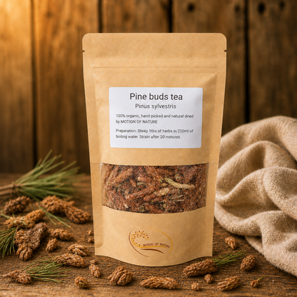 Pine Buds Tea