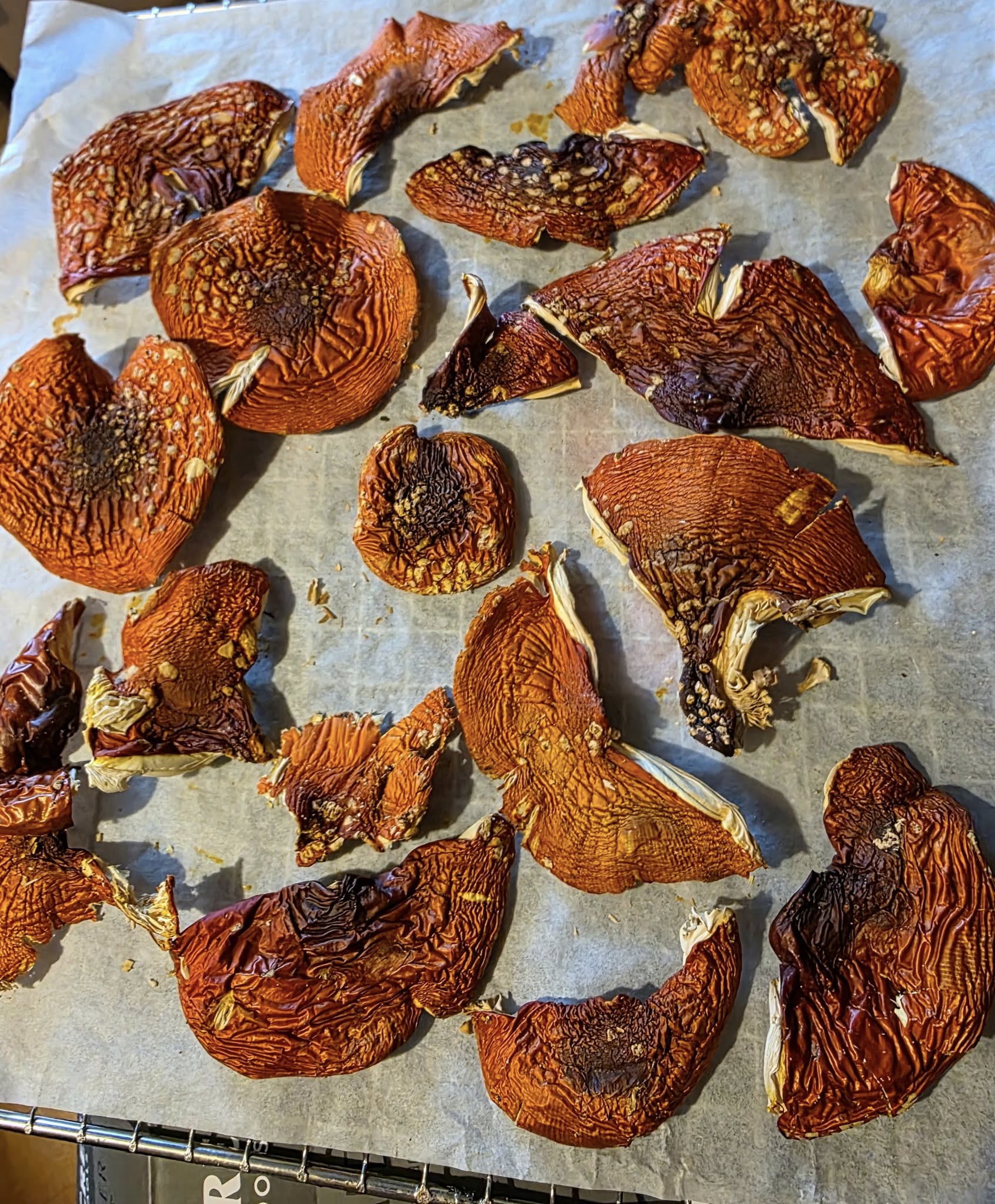 Dried mushrooms on a baking sheet