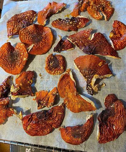 Dried mushrooms on a baking sheet