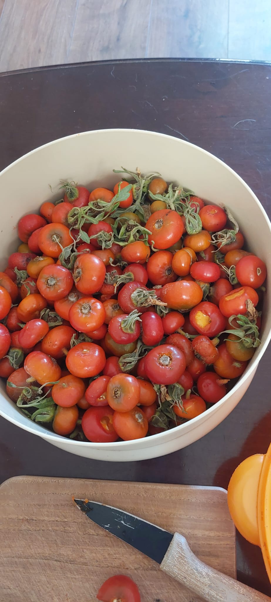 Hawthorn Berry & Rosehip Syrup
