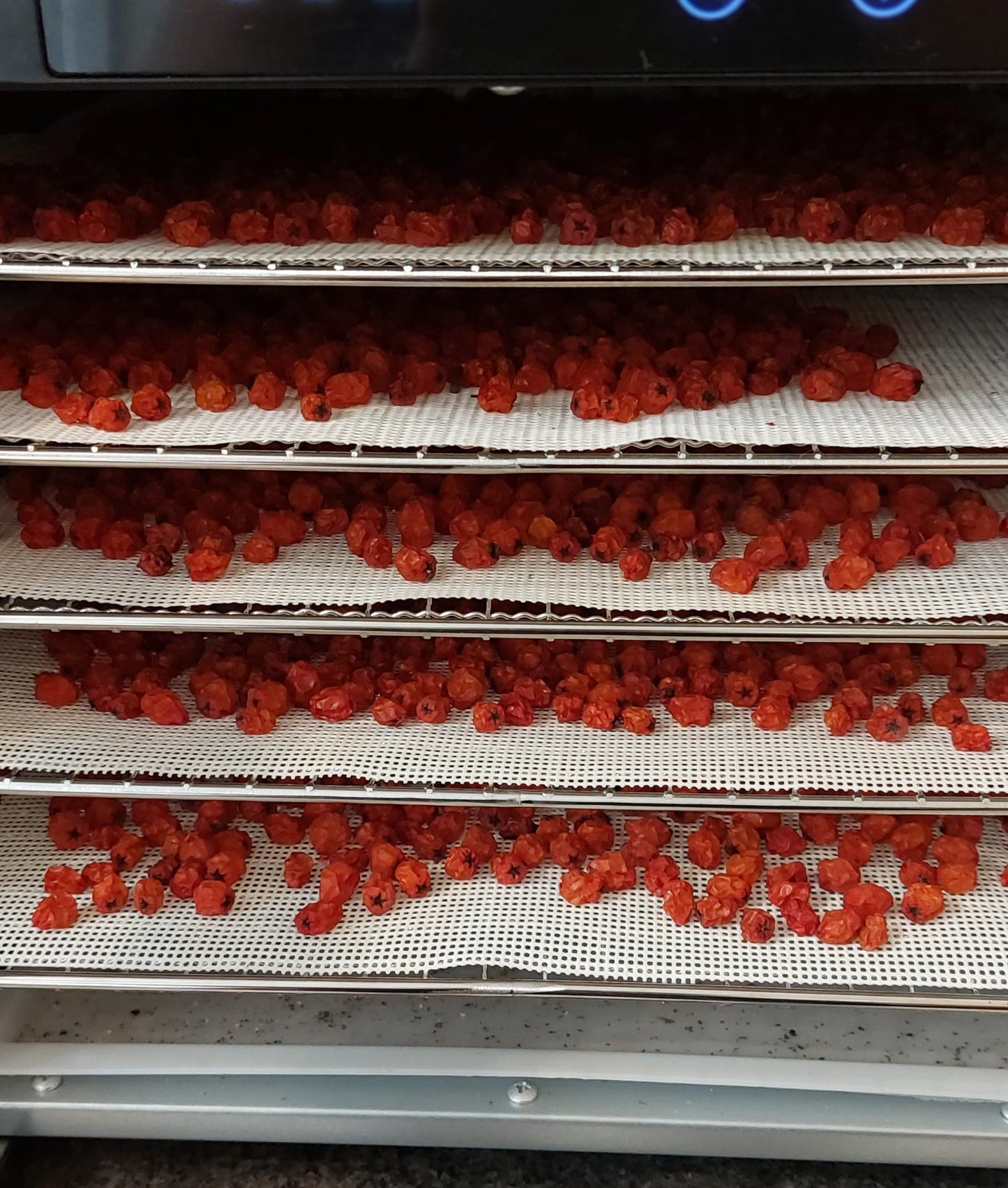 Rowan Berry Syrup