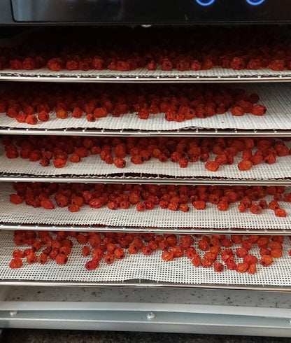 Rowan Berry Syrup